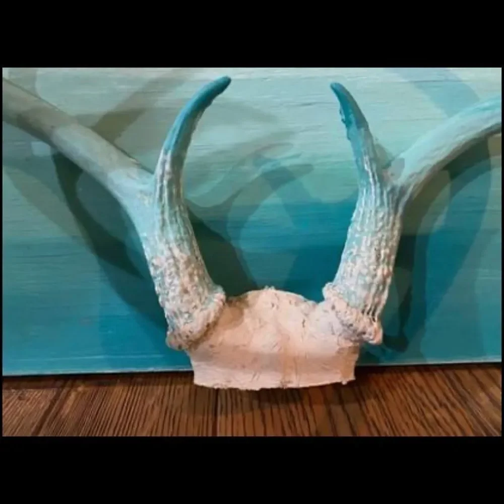 Ombré authentic deer art‎